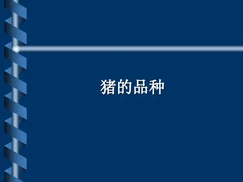 养猪技术(PPT)猪的品种教学内容
