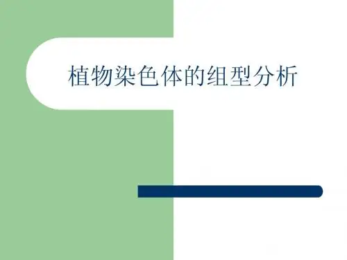 植物染色体的组型分析1