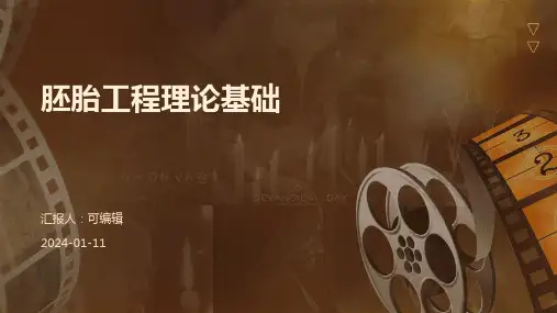 级北师大选修胚胎工程的理论基础课件
