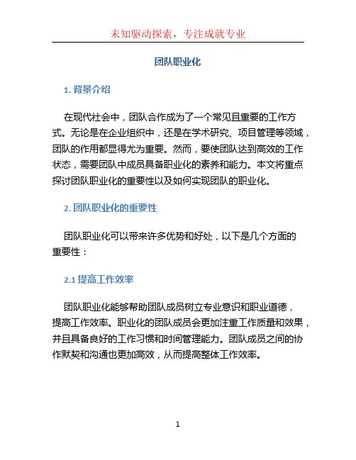 团队职业化