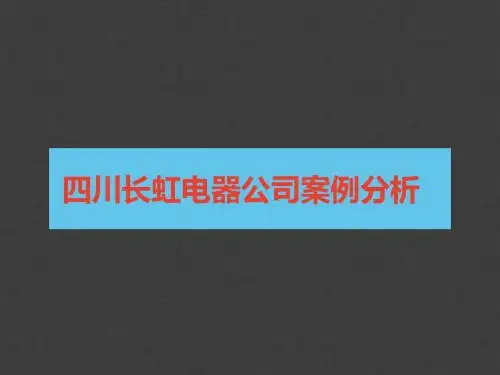 长虹电器公司案例分析