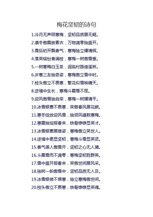 梅花坚韧的诗句