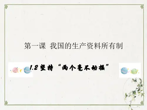 统编版政治-经济与社会优质教学ppt1