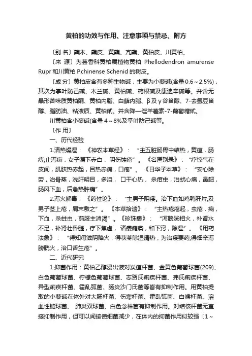 黄柏的功效与作用、注意事项与禁忌、附方