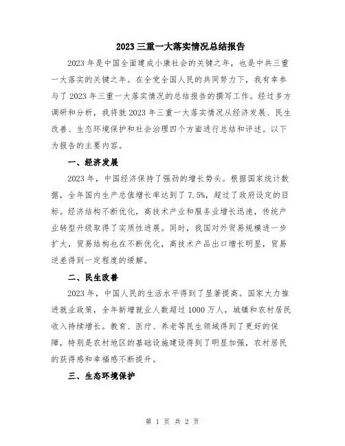 2023三重一大落实情况总结报告