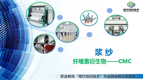 纤维素衍生物CMC(精)