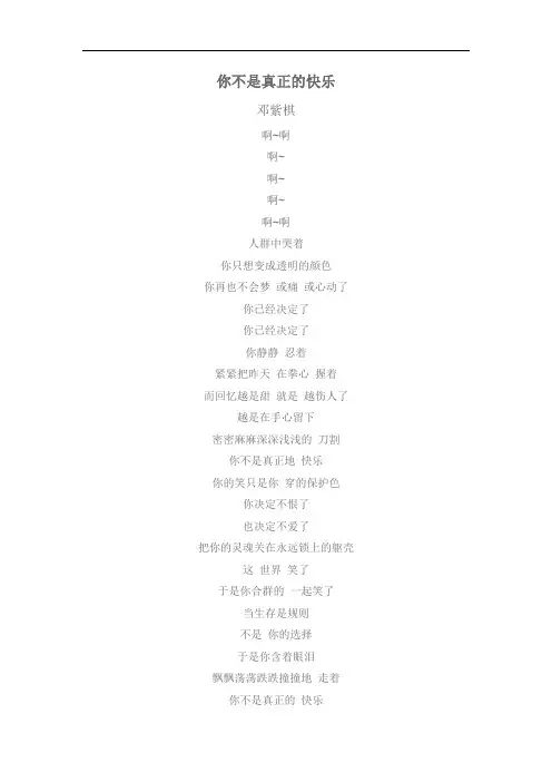 你不是真正的快乐  邓紫棋  歌词