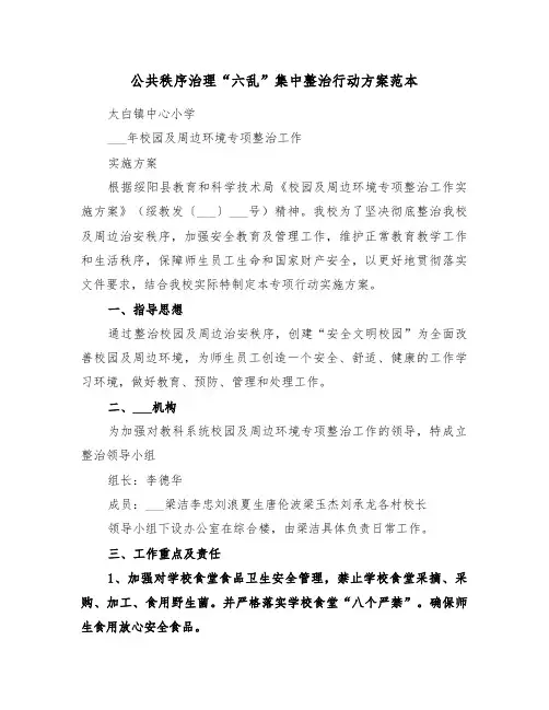 公共秩序治理“六乱”集中整治行动方案范本(二篇)