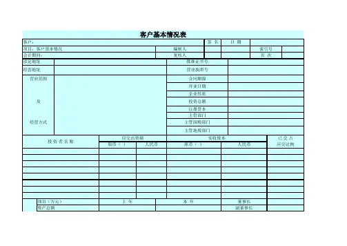 中注协 审计工作底稿 