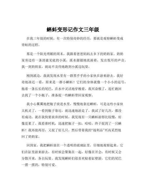蝌蚪变形记作文三年级