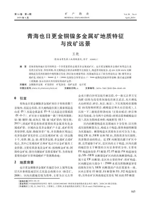 青海也日更金铜镍多金属矿地质特征与找矿远景