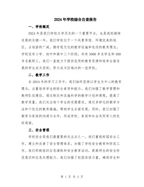 2024年学校综合自查报告