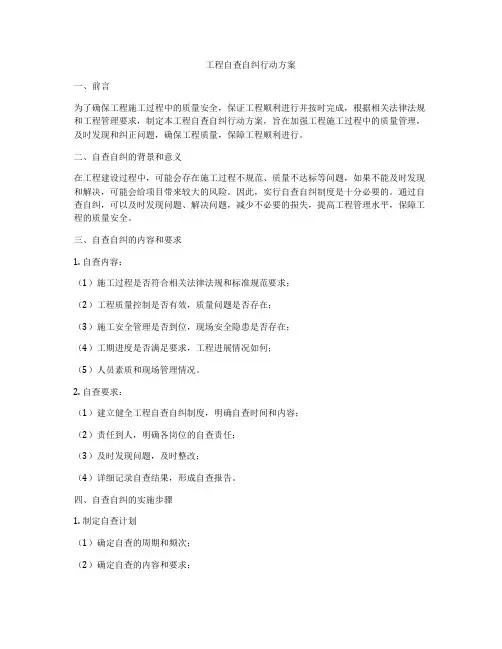 工程自查自纠行动方案