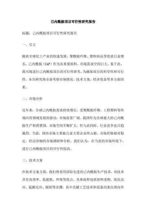 己内酰胺项目可行性研究报告