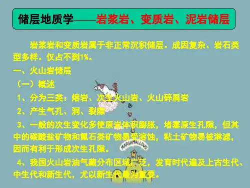 储层地质学中国石油大学岩浆岩变质岩泥岩储层