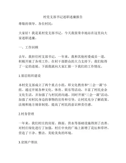 村党支部书记述职述廉报告