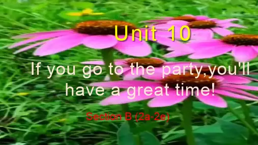 人教版八年级上Unit10SectionB(2a-2e)教学课件PPT及2b音频(共20张)