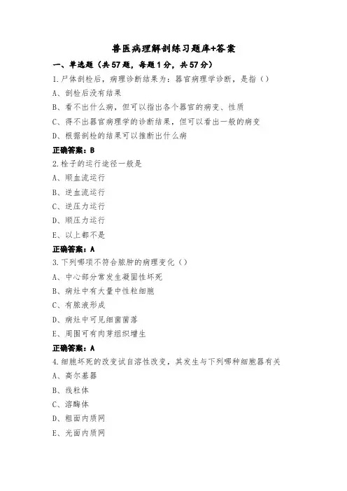 兽医病理解剖练习题库+答案