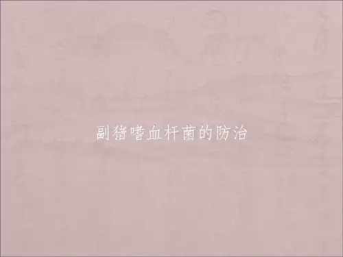 副猪嗜血杆菌的防治ppt课件