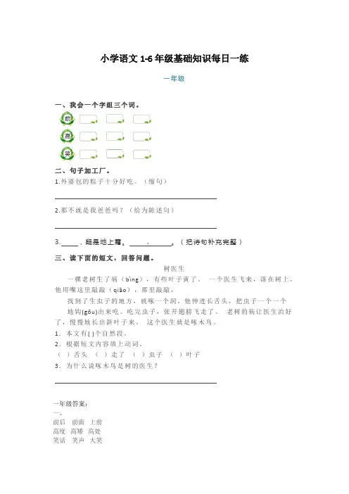 精编部编版小学语文1-6年级基础知识+阅读理解每日一练