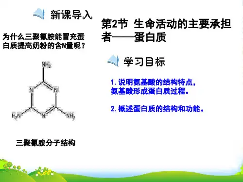 人教版高中生物必修1 第2章第2节生命活动的主要承担者—蛋白质(课件) (共16张PPT)
