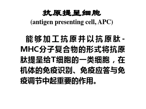 抗原提呈细胞与抗原的加工及提呈-精选文档