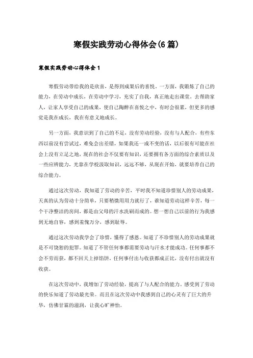 寒假实践劳动心得体会(6篇)