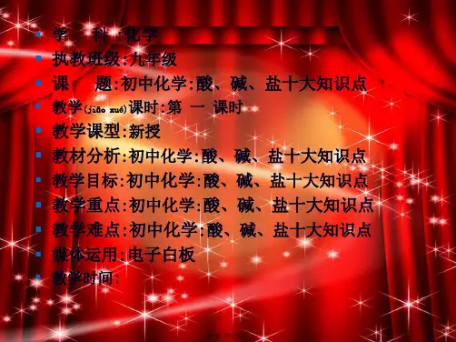 九年级化学上册 酸碱盐 十大知识点专题复习课件 