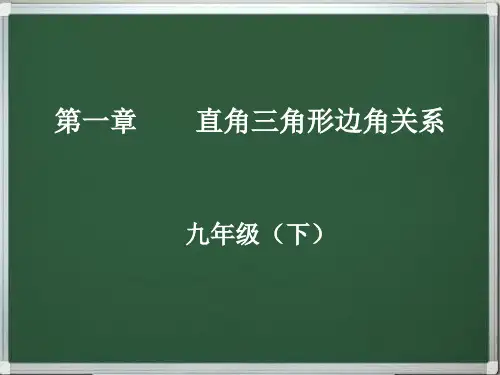 九年级数学下册 直角三角形边角关系(同步+复习)精品串讲课件