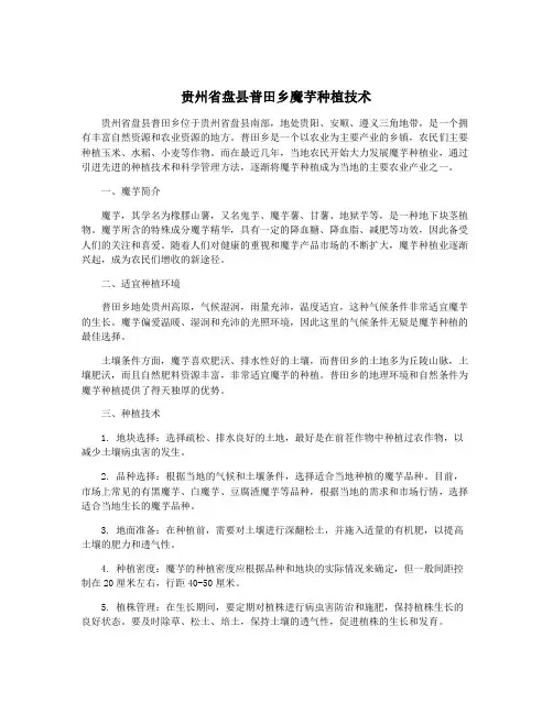 贵州省盘县普田乡魔芋种植技术