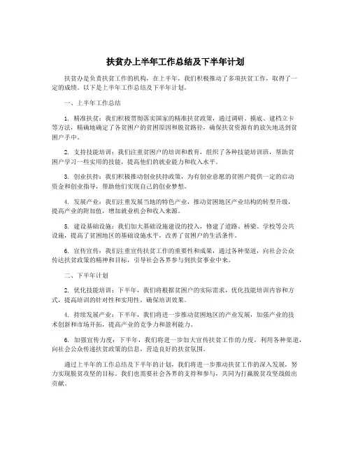 扶贫办上半年工作总结及下半年计划