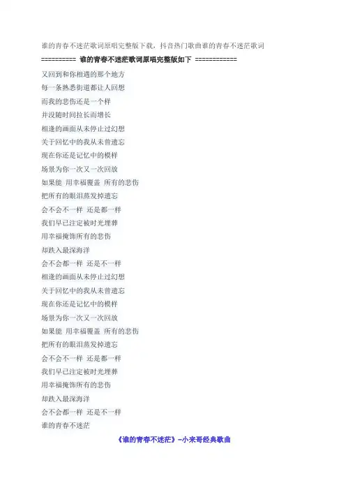 谁的青春不迷茫歌词原唱完整版下载,小来哥抖音热门歌曲
