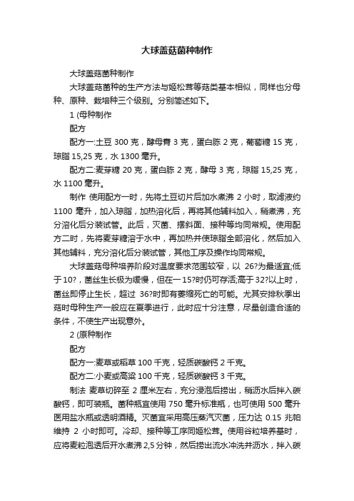 大球盖菇菌种制作