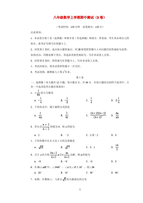 (新版)湘教版2020学年八年级数学上学期期中测试(B卷) 