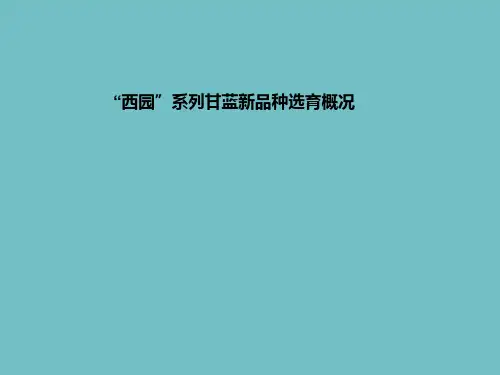 西园系列甘蓝新品种的选育