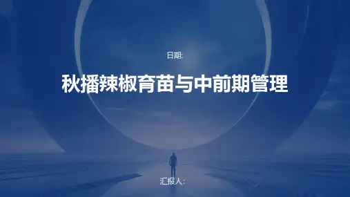 秋播辣椒育苗与中前期管理