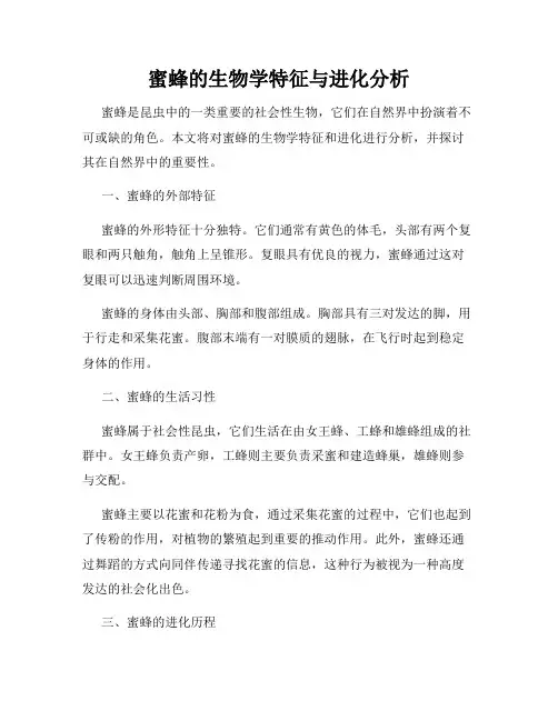 蜜蜂的生物学特征与进化分析