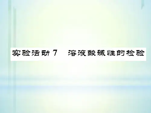 2020-2021学年九年级化学人教版下册第十单元实践活动7  溶液酸碱性的检验 (共24张PPT)