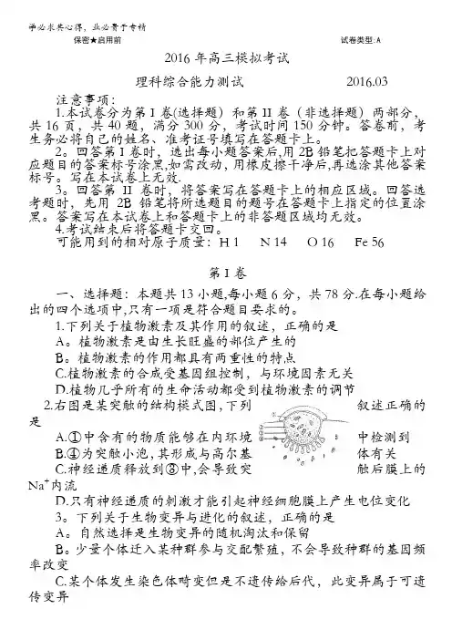山东省日照市2016届高三下学期第一次模拟考试理综试题 含答案