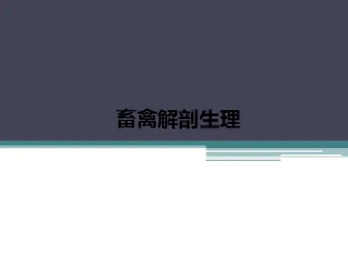 畜禽解剖生理ppt课件