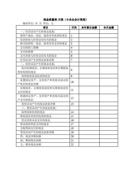 现金流量表-月报(小企业会计准则)