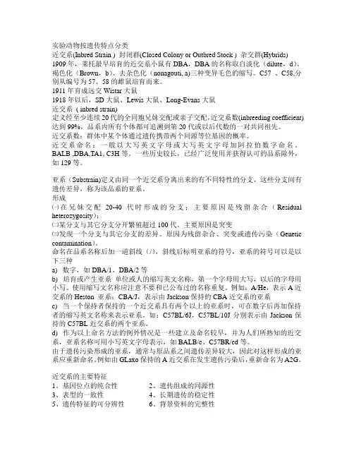 实验动物2