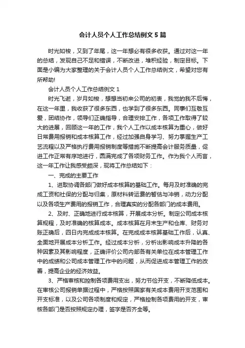 会计人员个人工作总结例文5篇