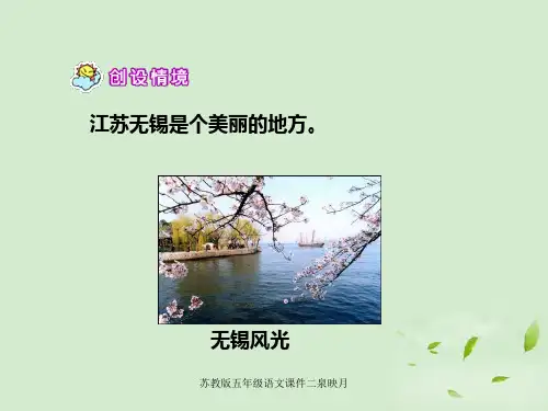 苏教版五年级语文课件二泉映月课件