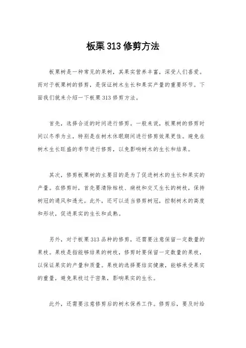 板栗313修剪方法