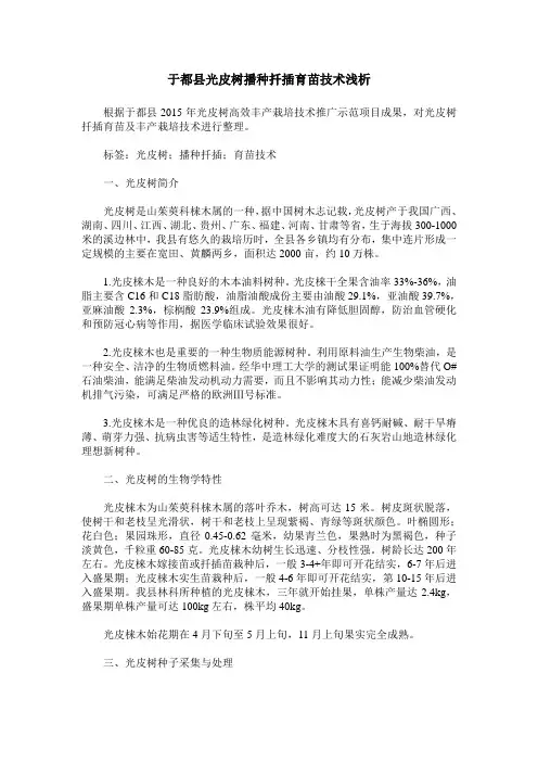 于都县光皮树播种扦插育苗技术浅析