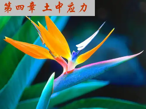 土中应力