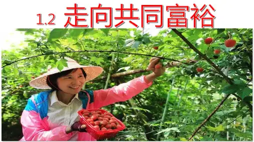 走向共同富裕