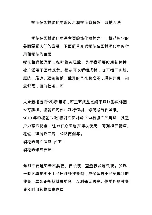樱花在园林绿化中的应用和樱花的修剪栽植方法
