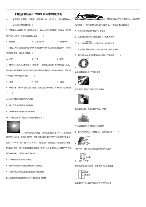 四川省攀枝花市2019年中考物理试卷(含 答案)